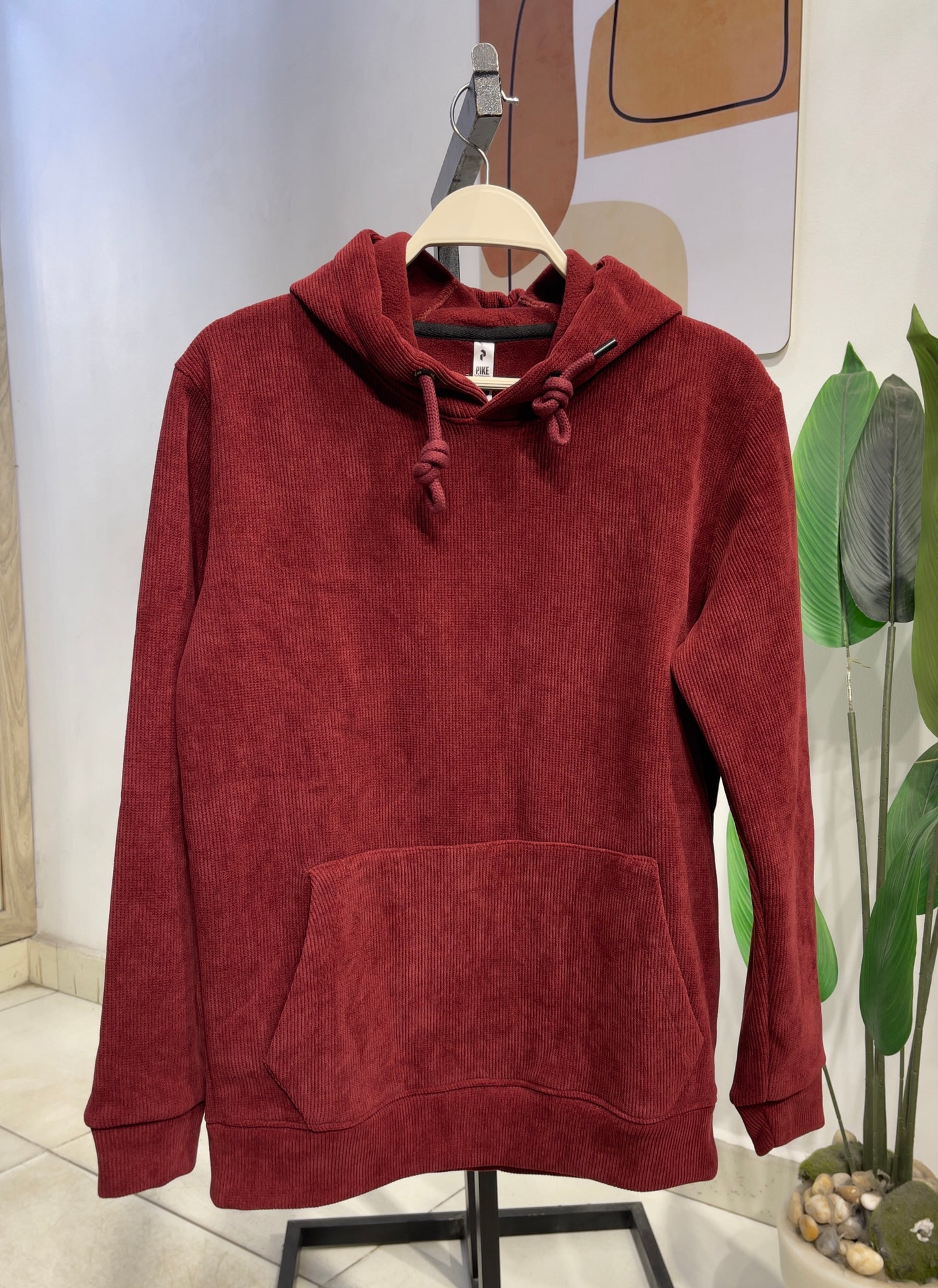 Plan velvet hoodie
